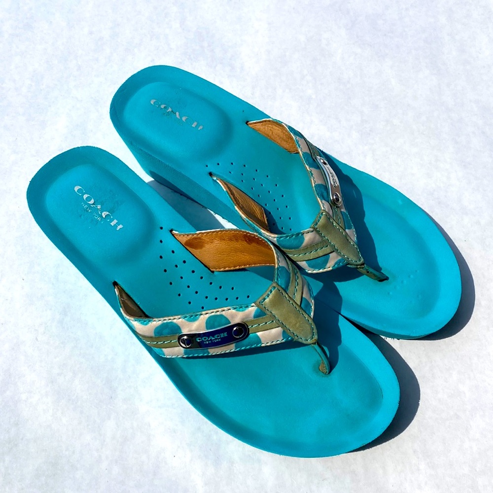 Coach Blue and Tan Sandals